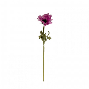 ANEMONE X1 H36 AN - pink*