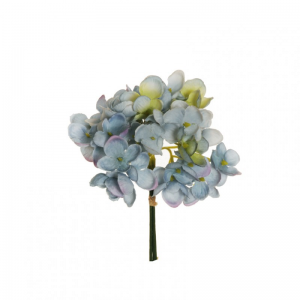 PICK ORTENSIA X3 H14 6PZ OR-light blue *