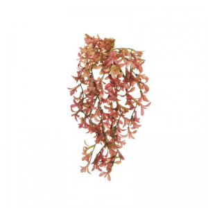 SENECIO CADENTE X10 H27 - pink*