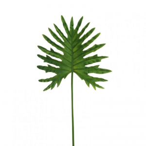 FOGLIA FILODENDRO H88 FO - green*