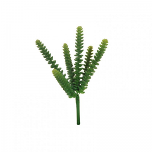 SUCCULENT X6 H26 PG - green *