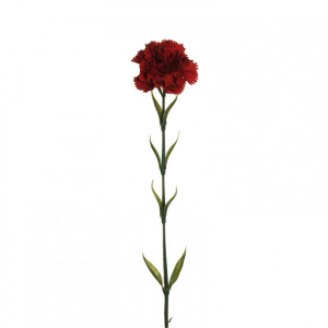 GAROFANO foglie plast. H70 GA-burgundy*