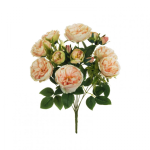 ROSA austin BUSH X10 H48 RO - salmone*
