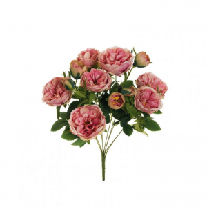 ROSA austin BUSH X10 H48 RO - pink*