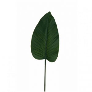 FOGLIA FILODENDRO H35 FO - green*