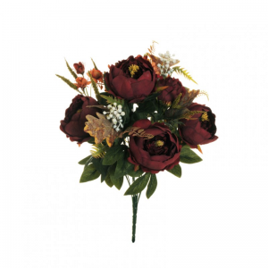 PEONIA BUSH X13 H52 PE - burgundy*