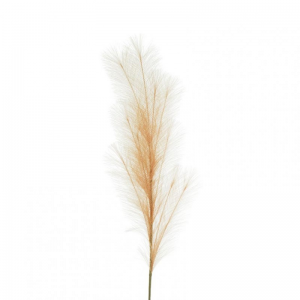PAMPAS H113 PA - ivory*