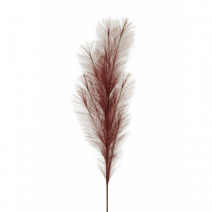 PAMPAS H113 PA - dark purple*