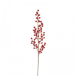 BACCA ILEX H70 CM - red *