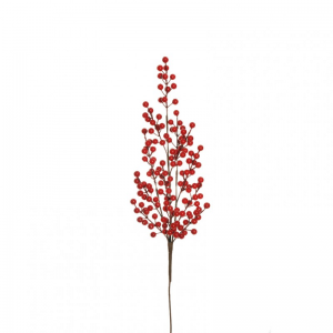 BACCHE ILEX ramo X12 H80 BA - red *