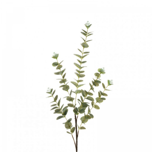 EUCALIPTO X5 H100 EU - grey green *