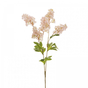 FIORE LILLA spray X2 H73 LI -light pink*