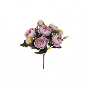 PEONIA MAZZO X5 H25 PE 6ASS. *