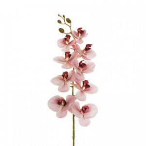 ORCHIDEA PHALAENOPSIS OR H96 CM- ant.lil