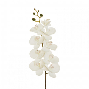 ORCHIDEA PHALAENOPSIS OR H96 CM- white*