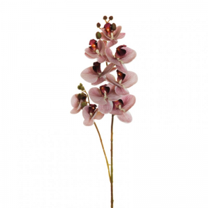 ORCHIDEA PHALAENOPSIS OR H88 CM- ant.li*