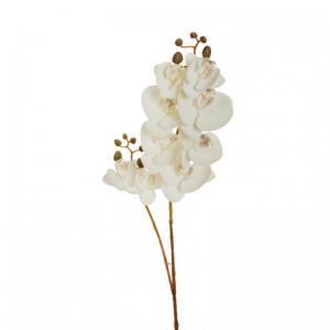 ORCHIDEA PHALAENOPSIS OR H88 CM- white*