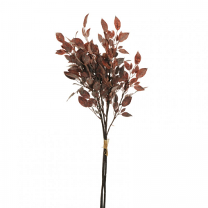 PRUNO MAZZO X3 H72 PR - dark mauve*