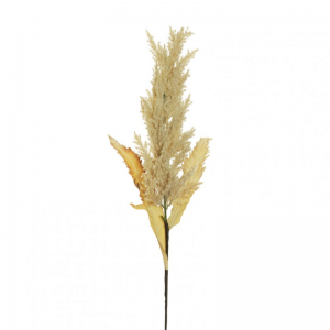 PAMPAS dry look H108cm - cream*