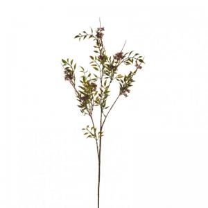 MAZZO RUSCUS X3 H87 RU-burgundy/green*