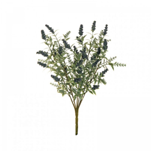 LIGUSTRUM BUSH X7 H40 BU - violet *