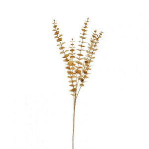 EUCALIPTO ramo X5 H85 FN - gold