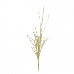 ERBA AUTUNNALE X4 H98 AU - cream*