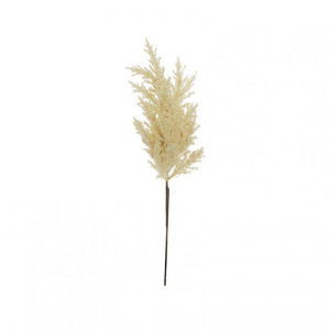 PAMPAS H60 AU - cream*
