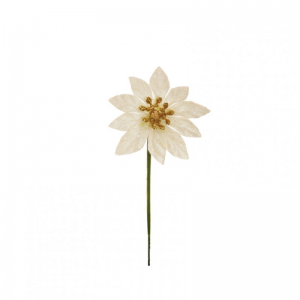 PICK POINSETTIA H12 pz36 PK - cream