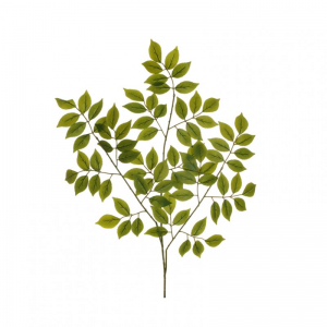 FOGLIA DI ROSA X3 H67 FO - green*