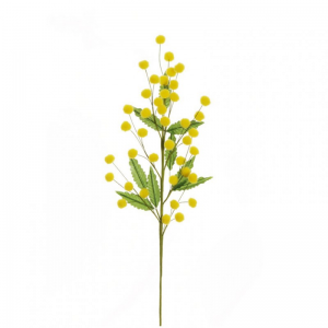 MIMOSA X40 H47 CM MI- yellow *