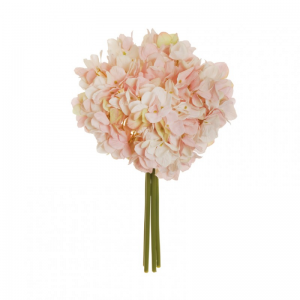 ORTENSIA Juliet X4 H35 OR - pink cream *