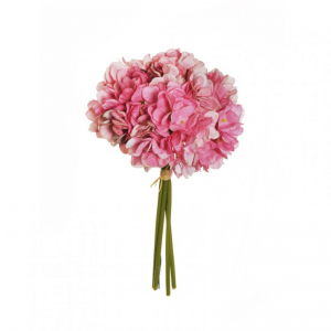 ORTENSIA Juliet X4 H35 OR - pink *