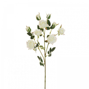 ROSA Viviane X3 H71 RO - white*