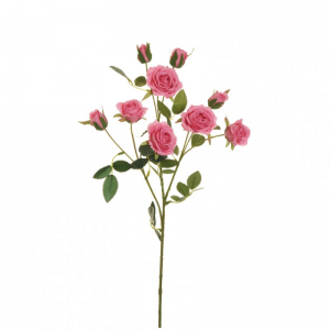 ROSA Viviane X3 H71 RO - hot pink*