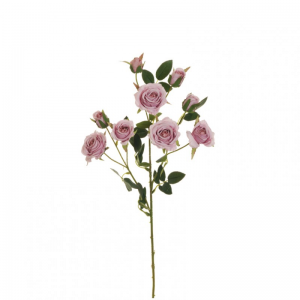 ROSA Viviane X3 H71 RO - light lilac*
