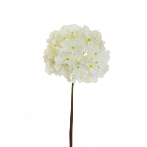 ORTENSIA soft candy H60 OR - white*