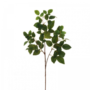 FOGLIA ROSA X3 H84 FO - green *