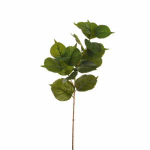 FOGLIA ORTENSIA X2 H70 FO - green*