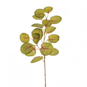 FOGLIA CALADIUM X2 H75 FO - green/red*