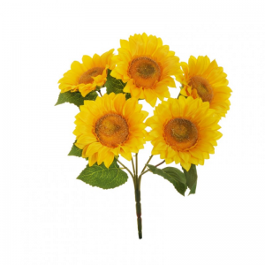 GIRASOLE bush X5 H42 GI - yellow *