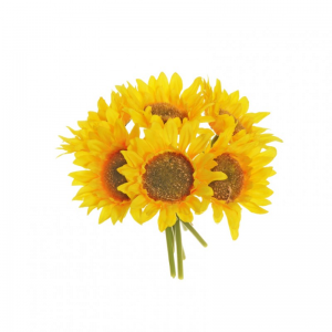 GIRASOLE BUSH X6 H22 GI - yellow *