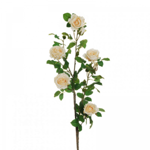 ROSA GARDEN ramo H110 RO - ivory *