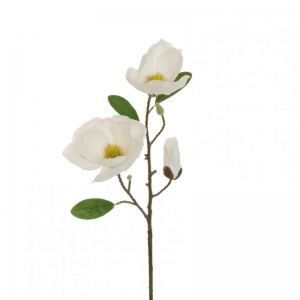 MAGNOLIA RAMO X3 H54 MA- white *