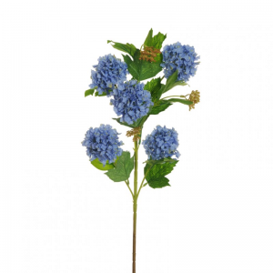 VIBURNO X5 H78 VI - light blue  *
