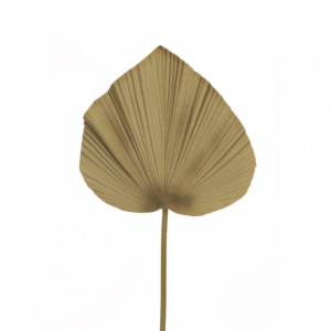 PALMA foglia 32X34 H100 FO - beige*