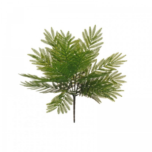 FELCE ACACIA BUSH X7 H46cm - green *