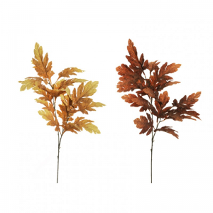 FOGLIA QUERCIA X2 H105 FO 2ASS. *