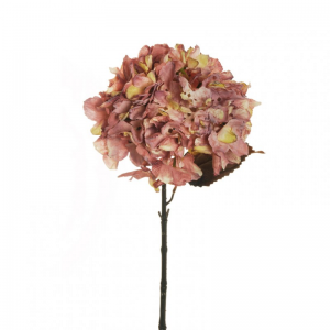 ORTENSIA dry look H62 OR - pink*