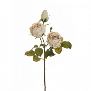 ROSA dry look silk X4 H55 RO - autumn *